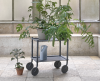 Muuto Tub karaf - 15