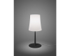 Foscarini Birdie Easy tafellamp - 19