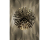Foscarini Sun Light of Love hanglamp LED - 4