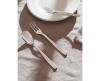 Alessi KnifeForkSpoon serveervork - 2