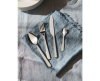Alessi Amici bestekset 24 stuks - 2