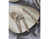 Alessi Comombina Fish visvork  - 2