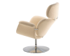 Artifort Tulip Fauteuil - 4
