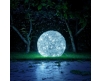 Catellani & Smith Fil de Fer F IP65 LED Outdoor bodemlamp - 2