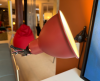 DCW éditions Lampe Gras N222 wandlamp zwart/rood - 5