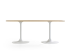 Artifort Clarion eettafel - 7