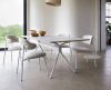 Artifort Beso Eettafel - 5