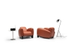 De Sede DS-57 fauteuil - 3