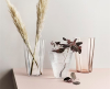 Iittala Alvar Aalto Vaas - 220 mm - 11