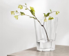 Iittala Alvar Aalto Vaas - 270 mm - 11