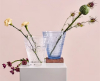 Iittala Kastehelmi Vaas - 154 mm - 8