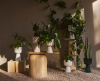 Iittala Nappula Bloempot - 260 x 155mm - 10