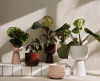 Iittala Nappula Bloempot - 260 x 155mm - 11