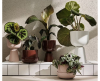 Iittala Nappula Bloempot - 260 x 155mm - 14