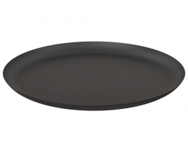 FROST schaal 270 van FROST