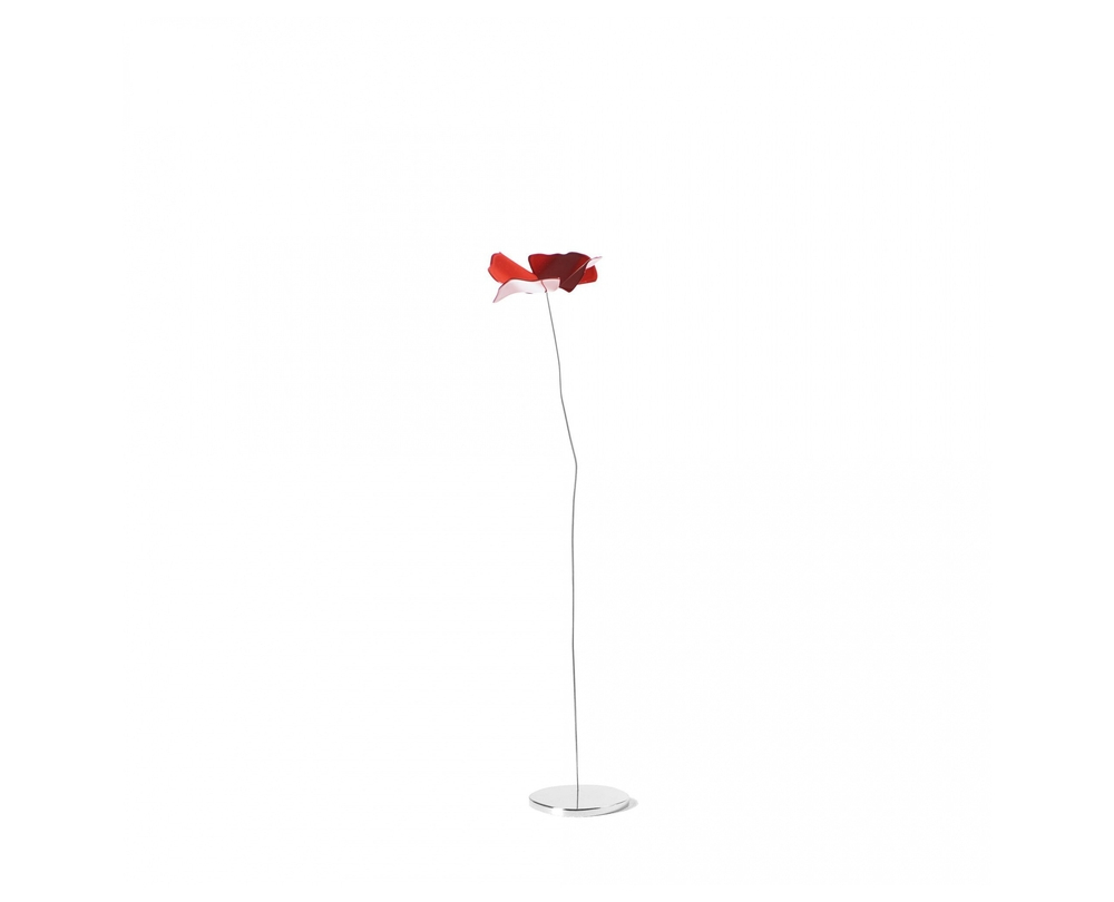 Opinion Ciatti Papavero Delicato poppy tafeldecoratie - 1