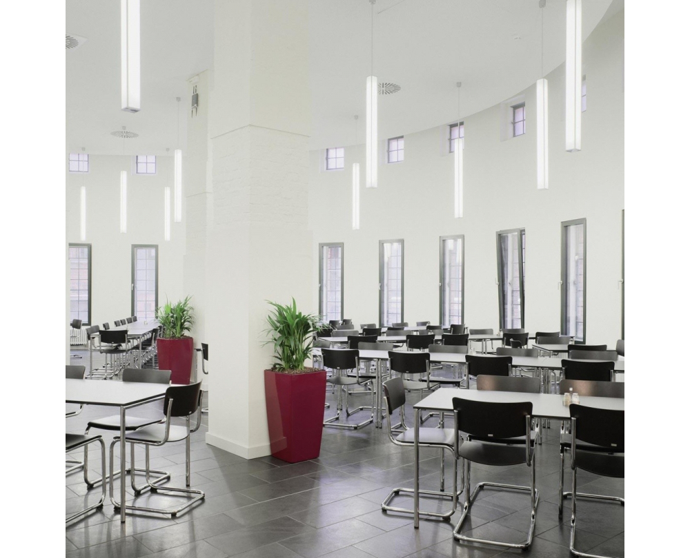 Thonet S 43 sledestoel - 3