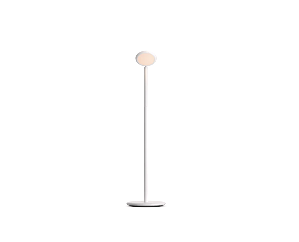 GRAU Parrot draadloze vloerlamp - 1