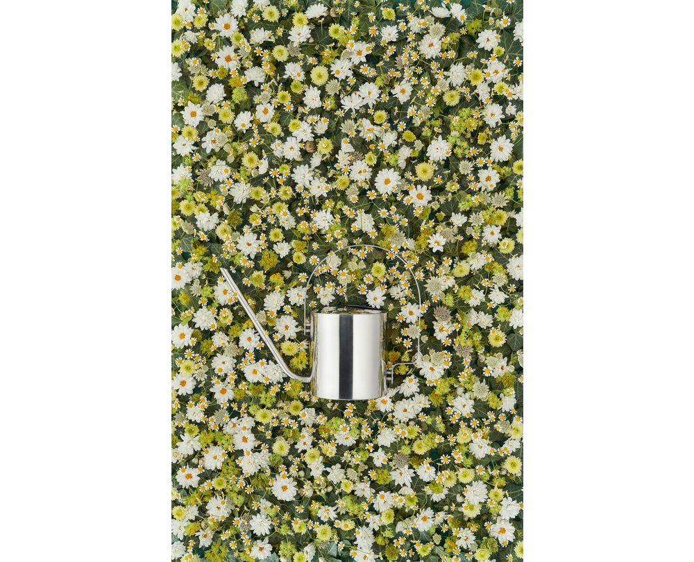 Stelton Original gieter (1.7L) - 5