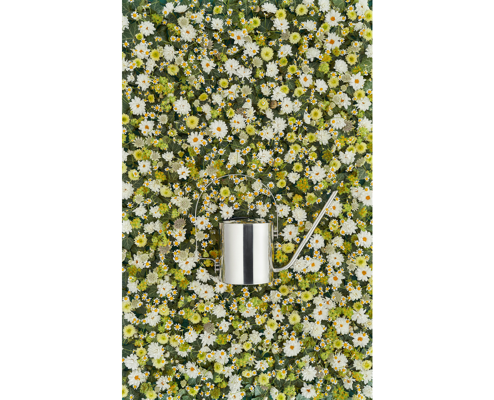 Stelton Original gieter (1.7L) - 4