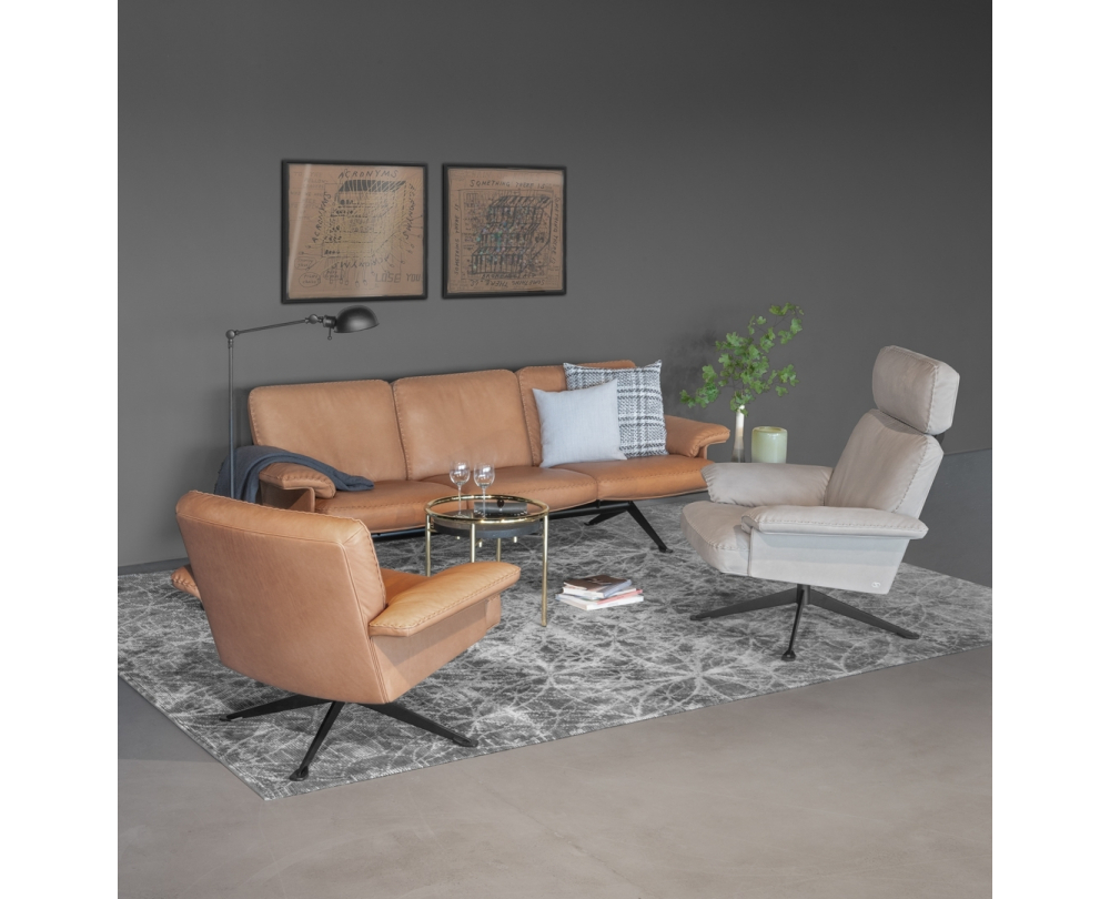 De Sede DS-31 bank - 4