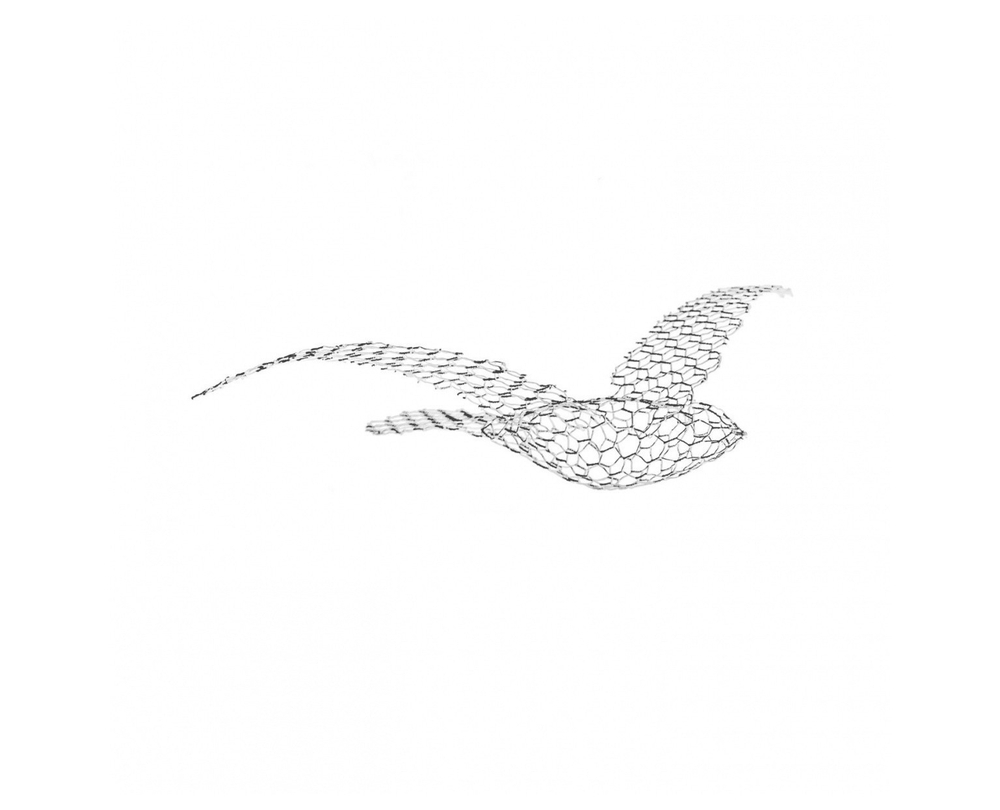 Magis Birds - Plafonddecoratie - 1