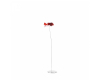 Opinion Ciatti Papavero Delicato poppy tafeldecoratie - 1