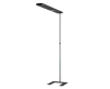 GRAU XT-A Floor Plus 120 vloerlamp - 3