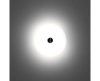 Flos Mini Button wandlamp glas - 7