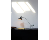 DCW éditions Mantis BS3 bureaulamp - 5