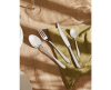 Alessi Caccia bestekset 24 stuks - 4