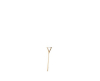 FROST Wishbone tafelpoot 8006 - 4
