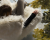Opinion Ciatti Guelfo Fur fauteuil - 6
