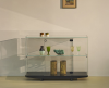 Glas Italia Collector bijzettafel - 11