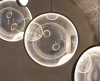 DCW éditions Focus x3 hanglamp - 16