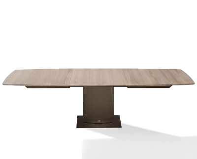 Draenert 1224 Adler 2 tafel in massief eiken sokkel 6 brons