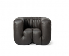 De Sede DS-707 fauteuil van De Sede